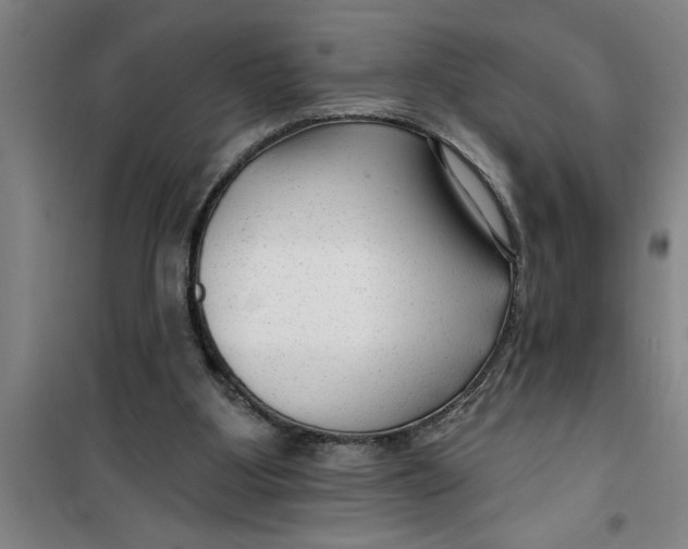X0000099480107200805301627