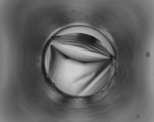 X0000099480108200805301627