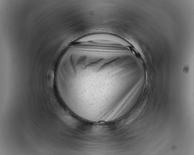 X0000099480109200805301627