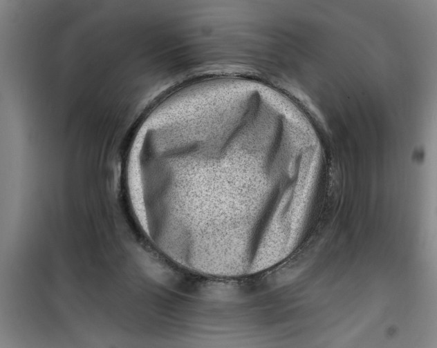 X0000099480110200805301627