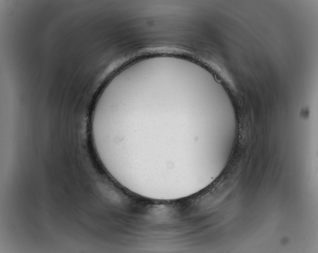 X0000099480111200805301627
