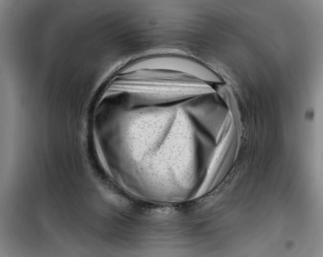 X0000099480112200805301627