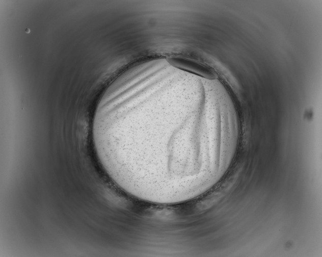X0000099480113200805301627
