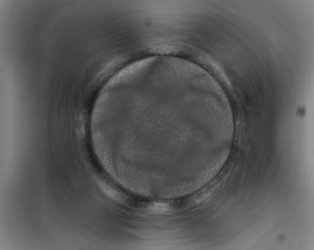 X0000099480114200805301627