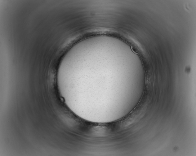 X0000099480119200805301627