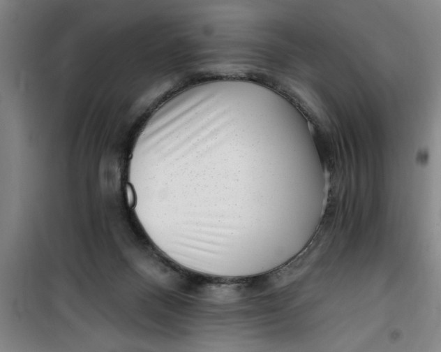 X0000099480120200805301627