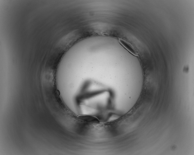 X0000099480121200805301627