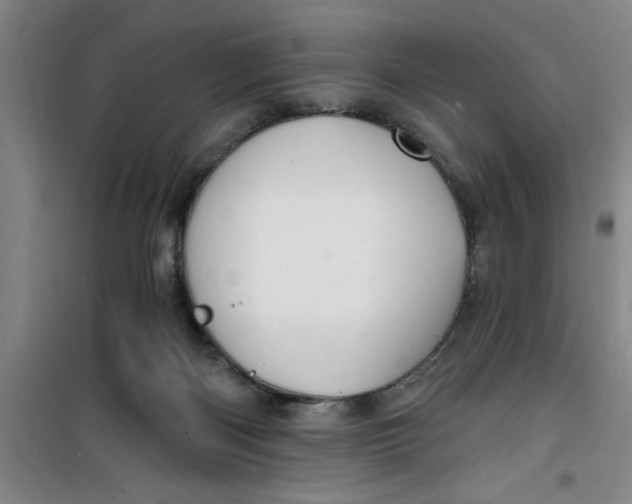 X0000099480122200805301627