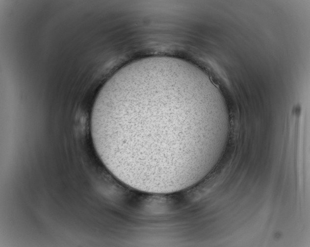 X0000099480123200805301627