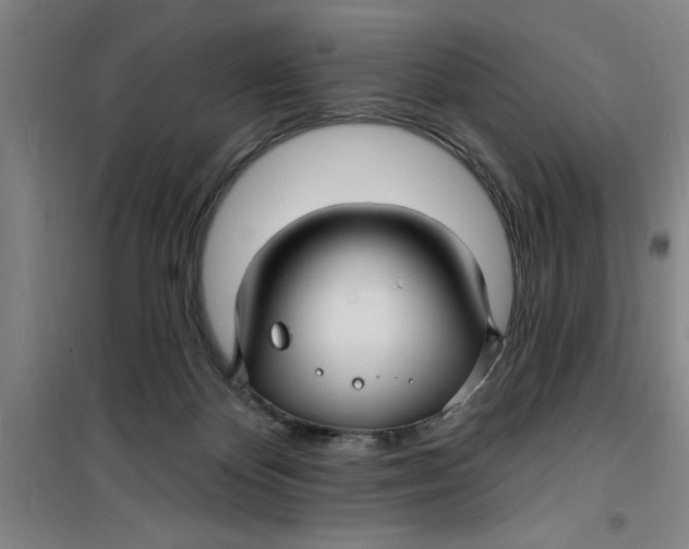 X0000099480124200805301627