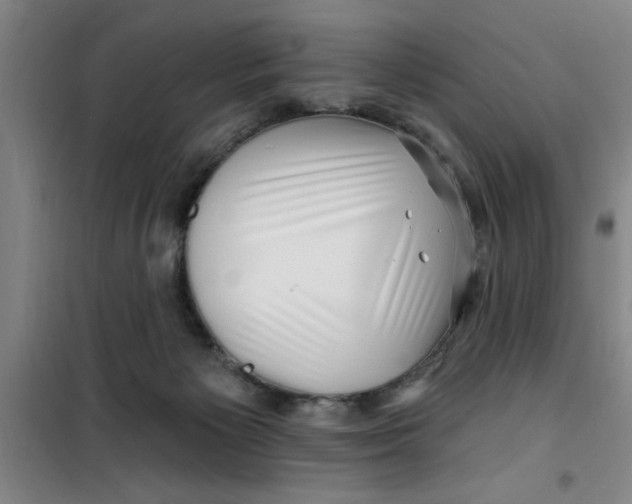 X0000099480125200805301627