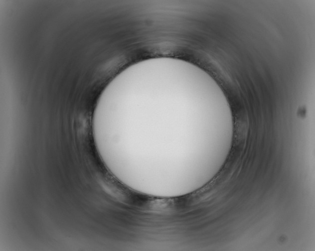 X0000099480126200805301627
