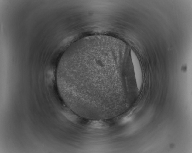 X0000099480127200805301627