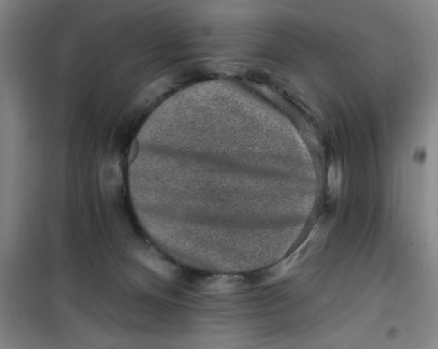 X0000099480128200805301627