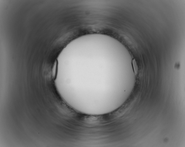 X0000099480129200805301627