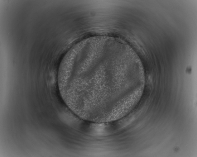X0000099480131200805301627