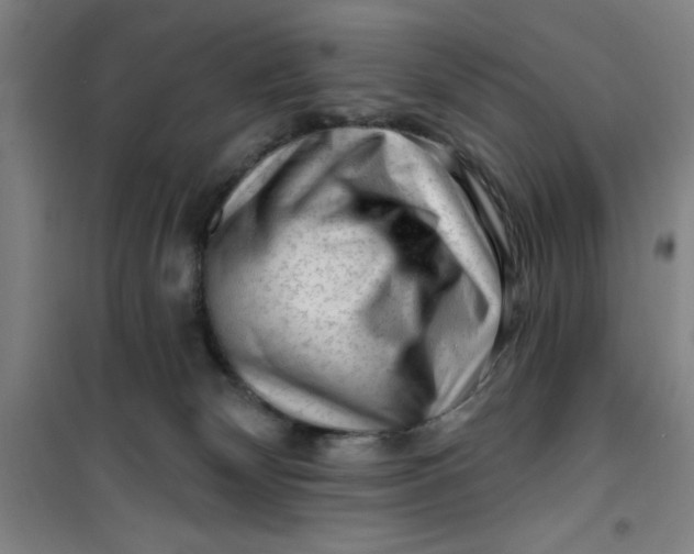 X0000099480132200805301627