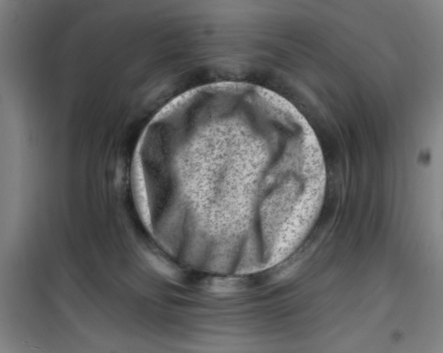 X0000099480134200805301627