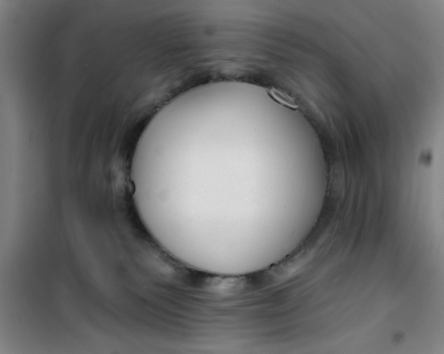 X0000099480135200805301627