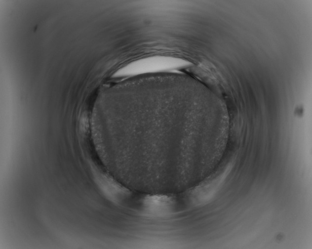 X0000099480137200805301627