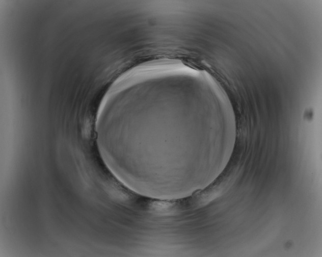 X0000099480139200805301627