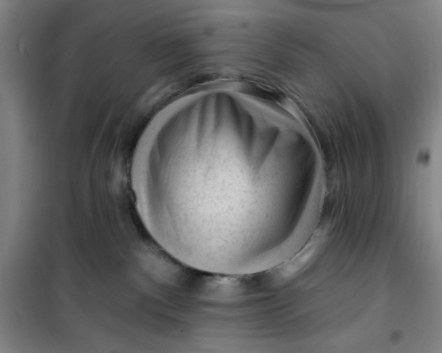 X0000099480140200805301627
