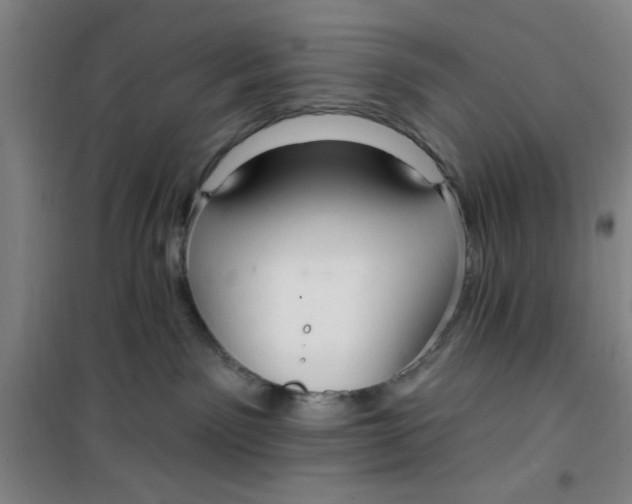 X0000099480141200805301627