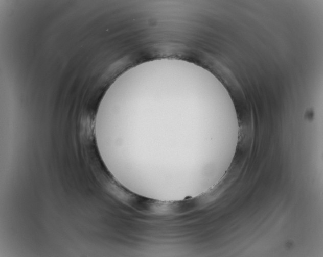X0000099480142200805301627