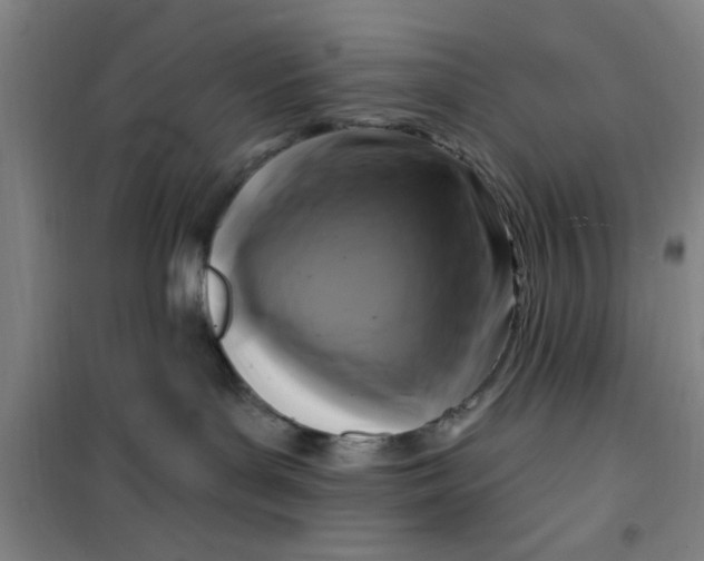 X0000099480143200805301627