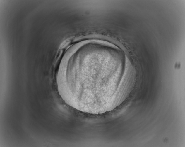 X0000099480144200805301627