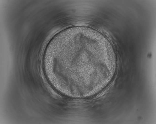 X0000099480145200805301626