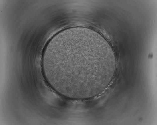 X0000099480146200805301626