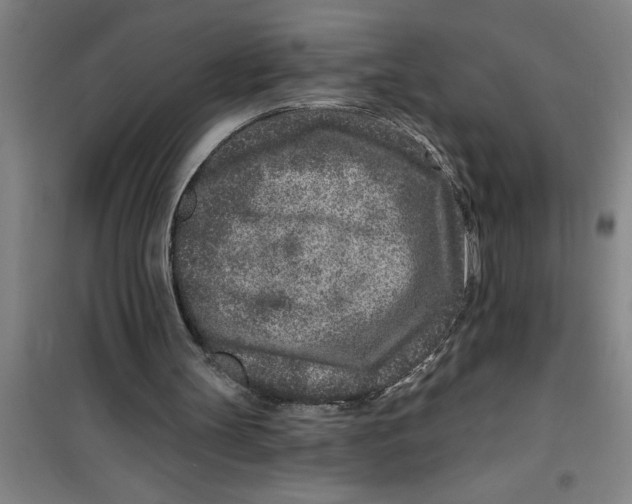 X0000099480147200805301626