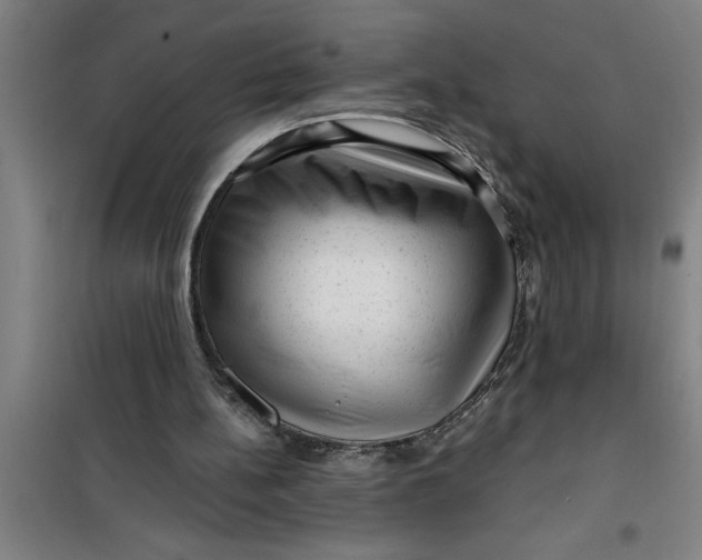 X0000099480148200805301626
