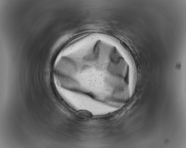 X0000099480149200805301626