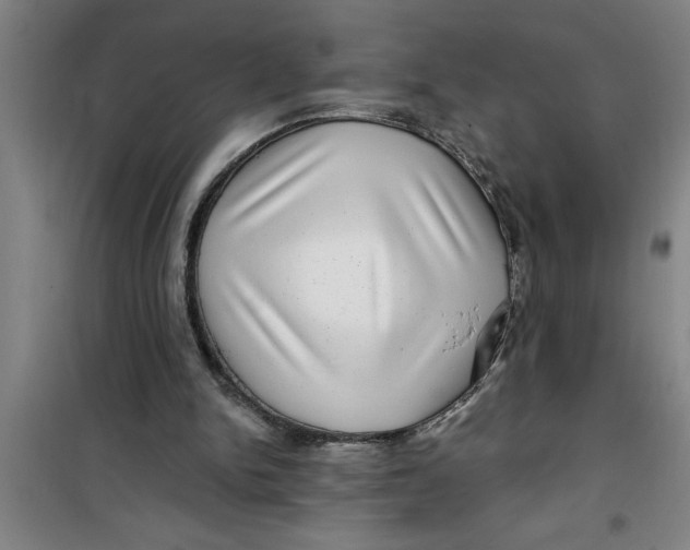X0000099480150200805301626