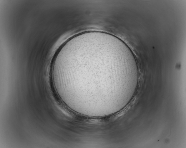 X0000099480151200805301626
