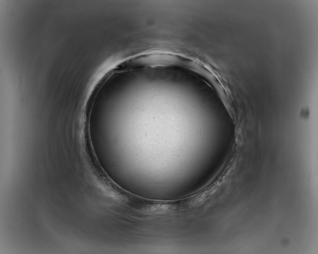 X0000099480152200805301626