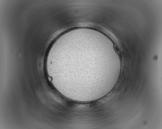 X0000099480155200805301626