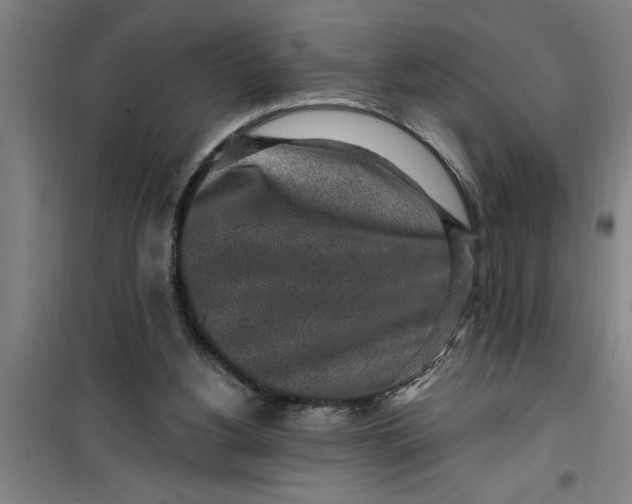 X0000099480156200805301626