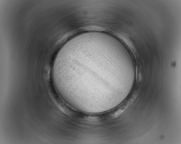 X0000099480157200805301626