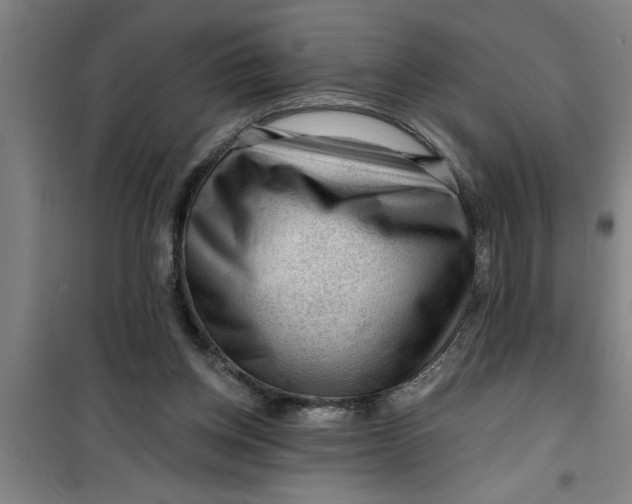 X0000099480158200805301626