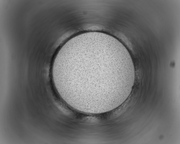 X0000099480159200805301626