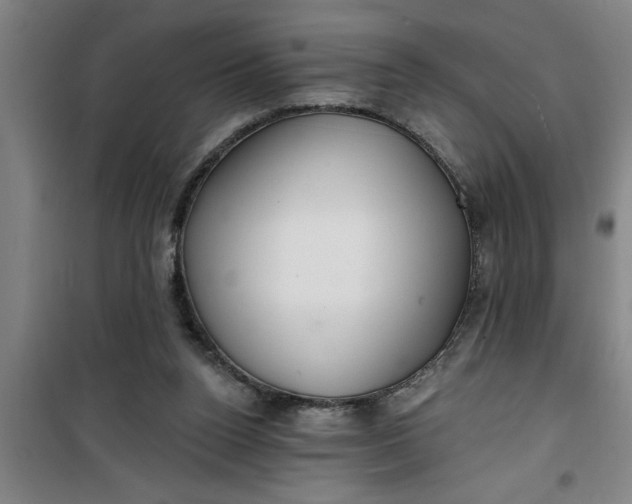 X0000099480160200805301626