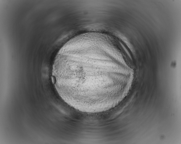 X0000099480161200805301626