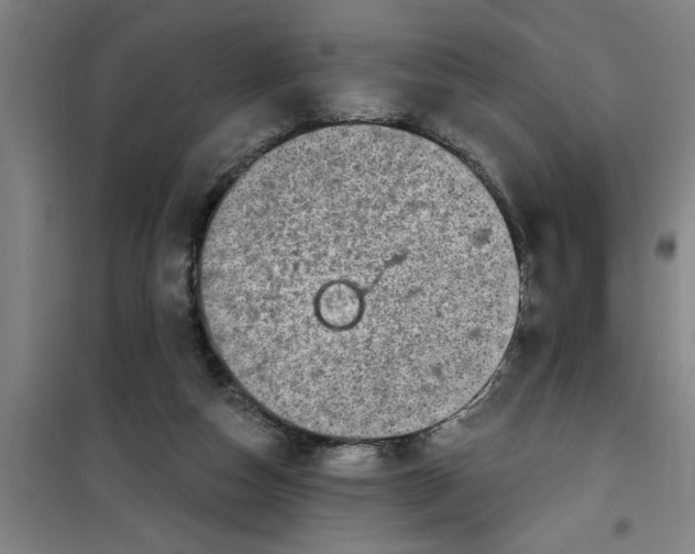 X0000099480162200805301626