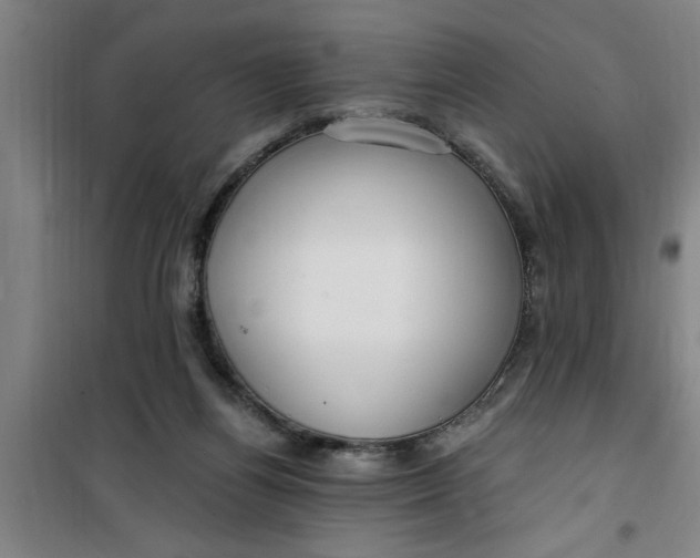X0000099480164200805301626
