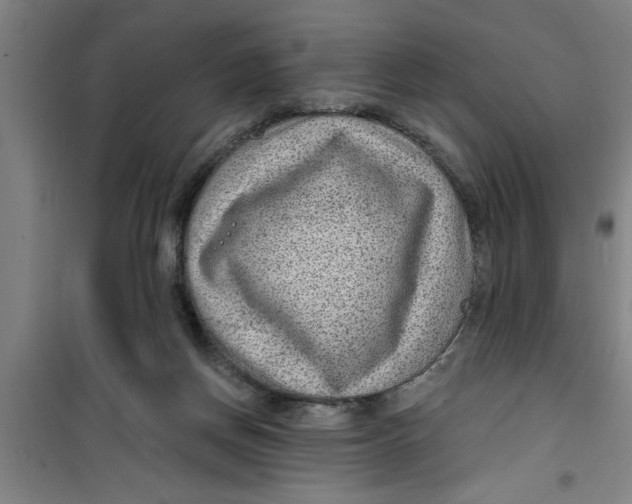 X0000099480166200805301626