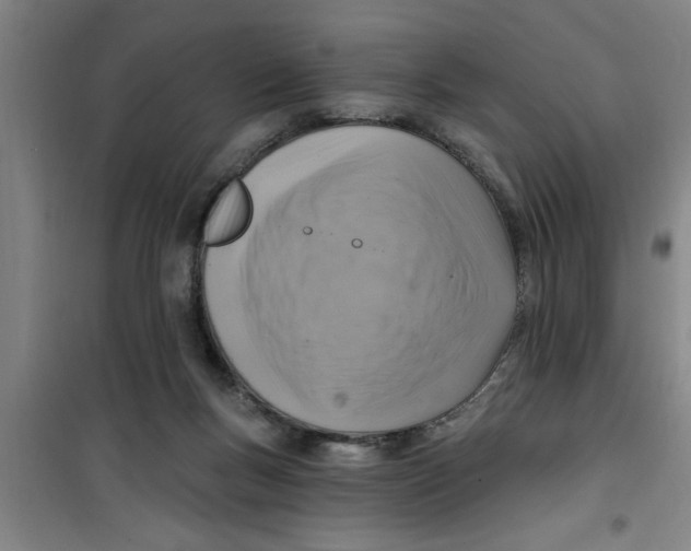 X0000099480167200805301626