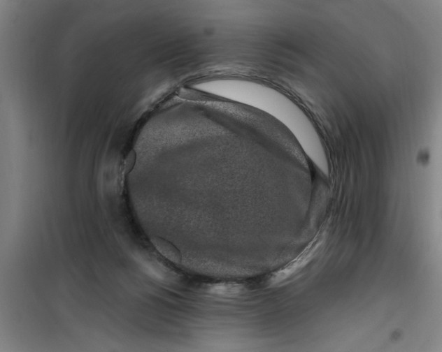 X0000099480168200805301626